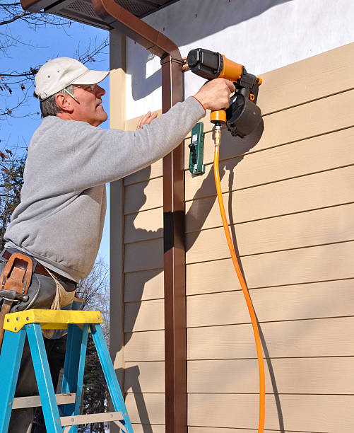 Best Aluminum Siding Installation  in View Park Windsor Hills, CA